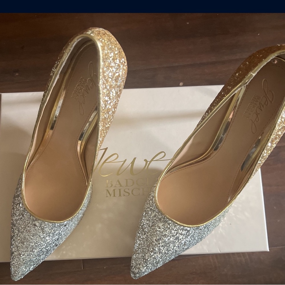 BADGLEY MISCHKA shoes beautiful. Only wore it inside house once.